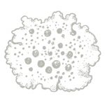 lichen-dessin